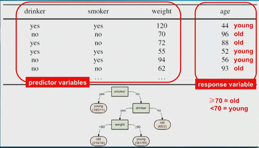 image-20220217222415199